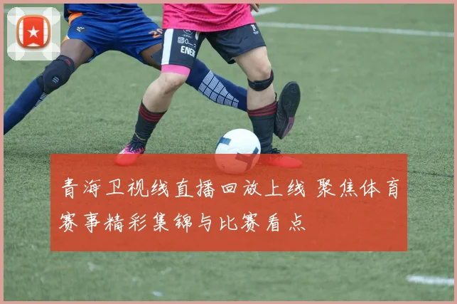 青海卫视线直播回放上线 聚焦体育赛事精彩集锦与比赛看点