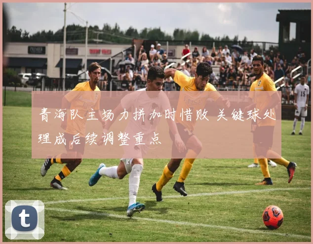 青海队主场力拼加时惜败 关键球处理成后续调整重点